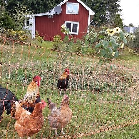 Stuga Asnagard Torsby Exterior foto